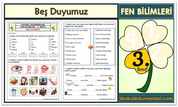 3. Sınıf Beş Duyumuz Ünite Değerlendirme