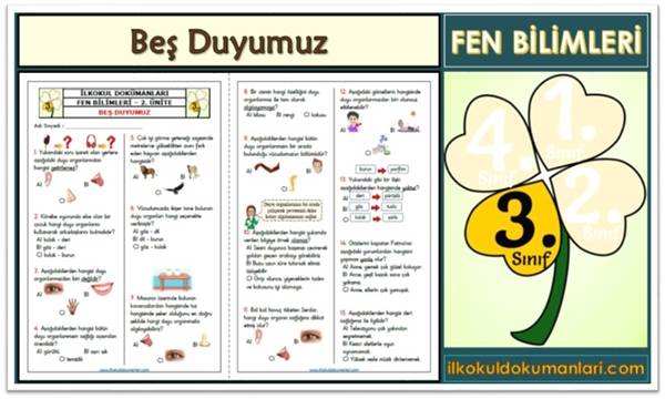 3. Sınıf Beş Duyumuz Ünite Değerlendirme Testi