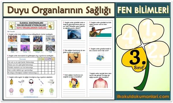 3. Sınıf Duyu Organlarının Sağlığı Etkinliği