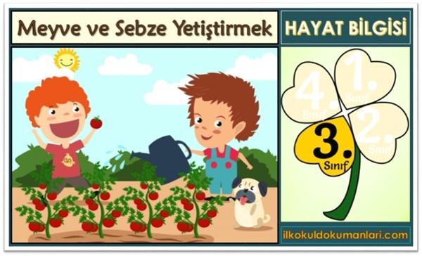 3. Sınıf Meyve ve Sebze Yetiştiriciliği