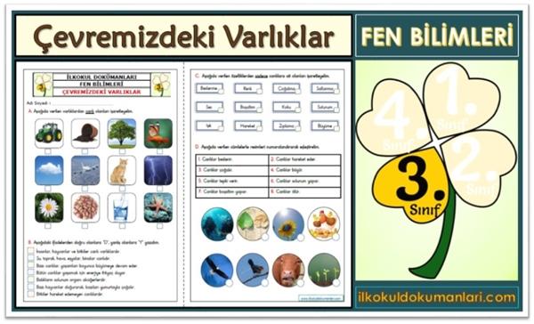 3. Sınıf Fen Bilimleri Çevremizdeki Varlıkları Tanıyalım Etkinlikleri