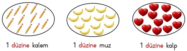 Düzine Nedir?