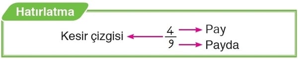 Pay, Payda ve Kesir Çizgisi