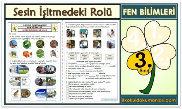 3. Sınıf Fen Bilimleri Sesin İşitmedeki Rolü Etkinlikleri