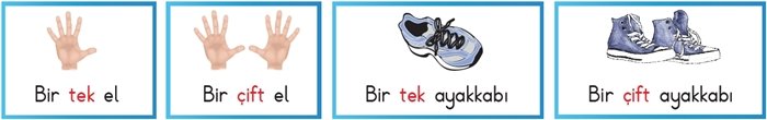 Tek ve Çift Nedir?